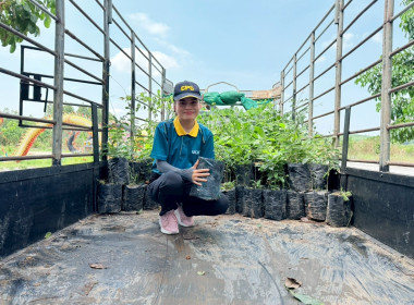 สหกรณ์จังหวัดบึงกาฬ พร้อมด้วยสหกรณ์การเกษตรเมืองบึงกาฬ ... พารามิเตอร์รูปภาพ 2